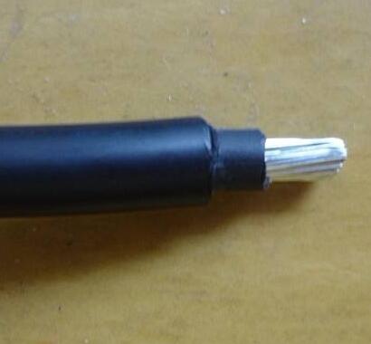 �����������ǲ���Z6���й�������ҳ����