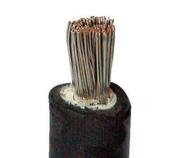 �����������ǲ���Z6���й�������ҳ����