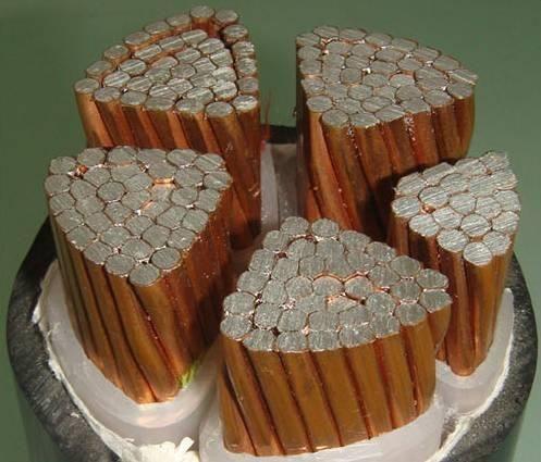 尊龙人生就是博·Z6「中国区」首页官网