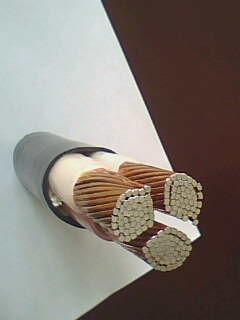 尊龙人生就是博·Z6「中国区」首页官网