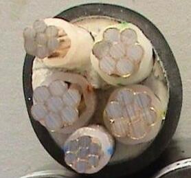 �����������ǲ���Z6���й�������ҳ����