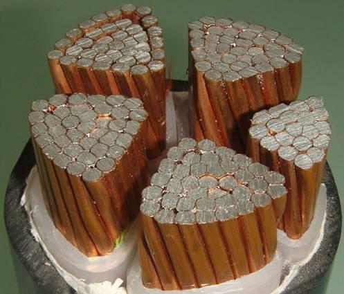 �����������ǲ���Z6���й�������ҳ����