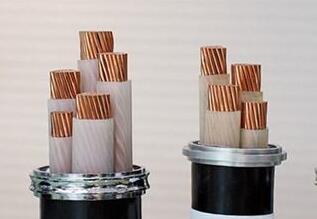 �����������ǲ���Z6���й�������ҳ����