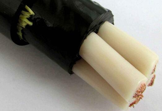 尊龙人生就是博·Z6「中国区」首页官网