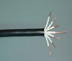 �����������ǲ���Z6���й�������ҳ����