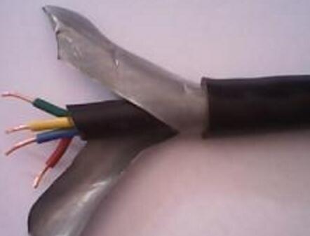 �����������ǲ���Z6���й�������ҳ����