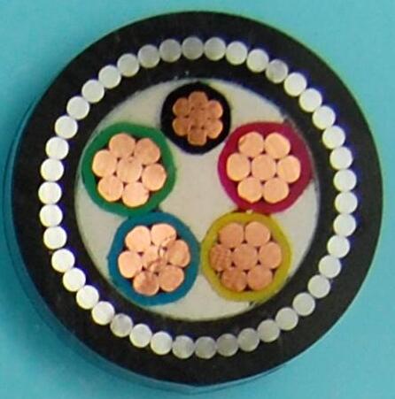 �����������ǲ���Z6���й�������ҳ����