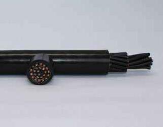 尊龙人生就是博·Z6「中国区」首页官网