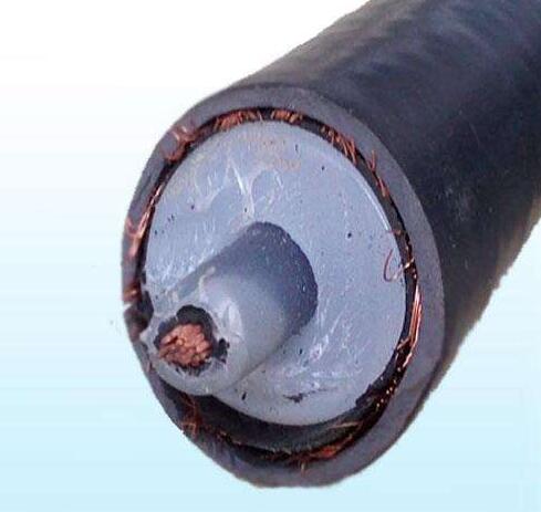 尊龙人生就是博·Z6「中国区」首页官网