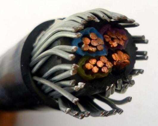 �����������ǲ���Z6���й�������ҳ����