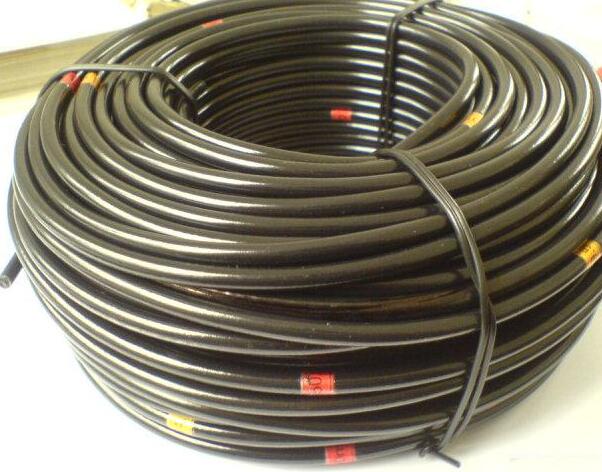 �����������ǲ���Z6���й�������ҳ����