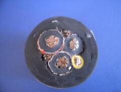 �����������ǲ���Z6���й�������ҳ����