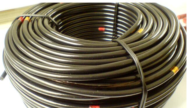 �����������ǲ���Z6���й�������ҳ����