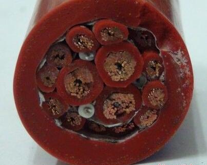 �����������ǲ���Z6���й�������ҳ����