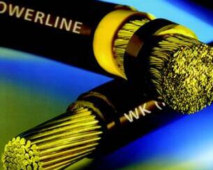 �����������ǲ���Z6���й�������ҳ����