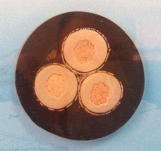 �����������ǲ���Z6���й�������ҳ����