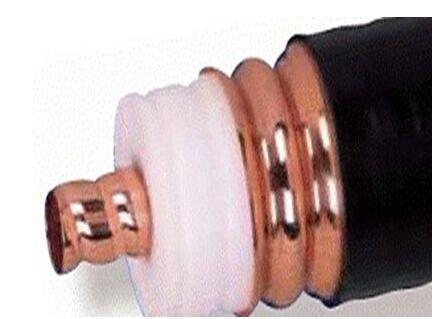 �����������ǲ���Z6���й�������ҳ����