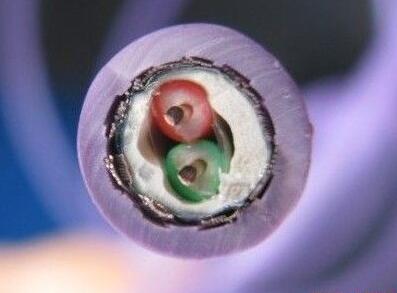 �����������ǲ���Z6���й�������ҳ����