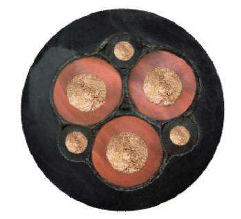 �����������ǲ���Z6���й�������ҳ����