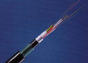 �����������ǲ���Z6���й�������ҳ����