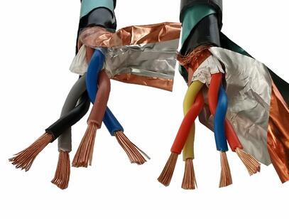 �����������ǲ���Z6���й�������ҳ����