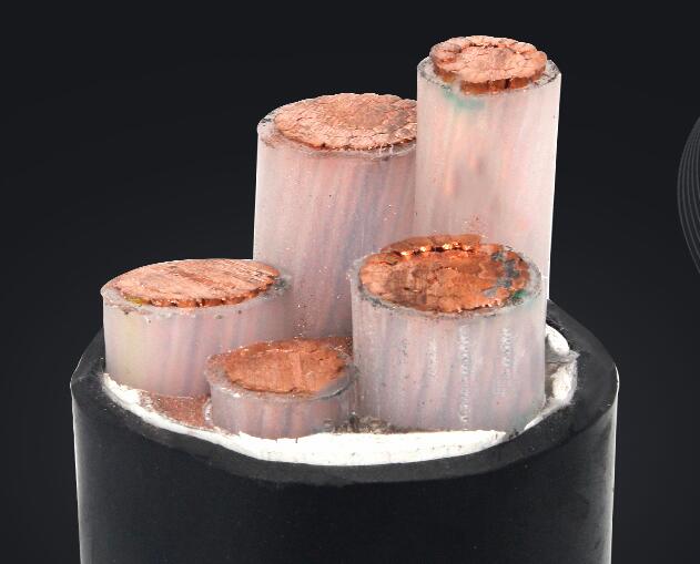 尊龙人生就是博·Z6「中国区」首页官网