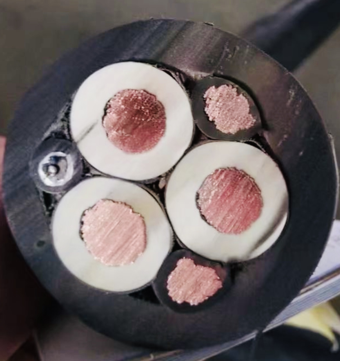 �����������ǲ���Z6���й�������ҳ����