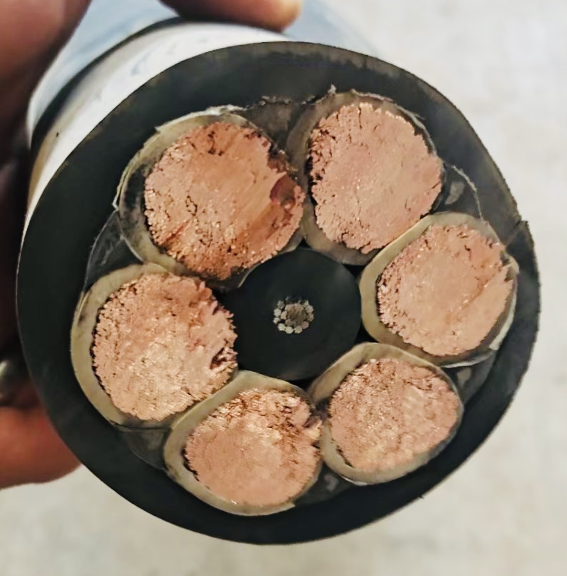 尊龙人生就是博·Z6「中国区」首页官网