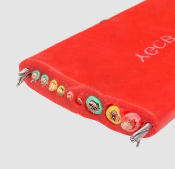 尊龙人生就是博·Z6「中国区」首页官网