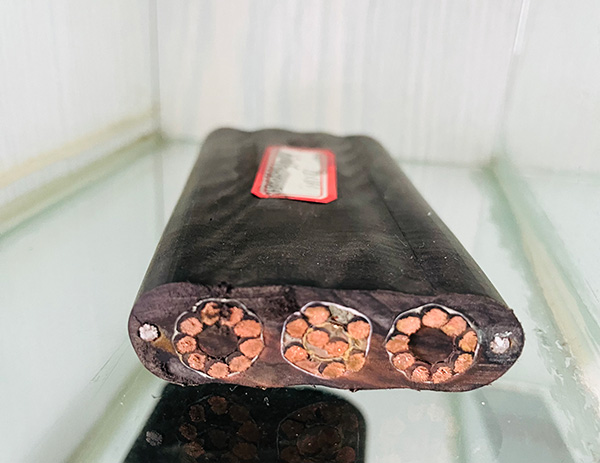 �����������ǲ���Z6���й�������ҳ����