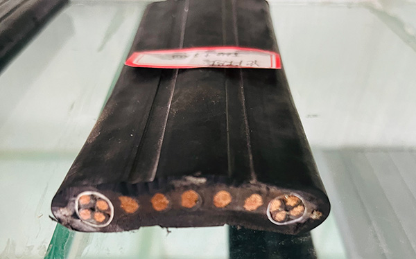 �����������ǲ���Z6���й�������ҳ����