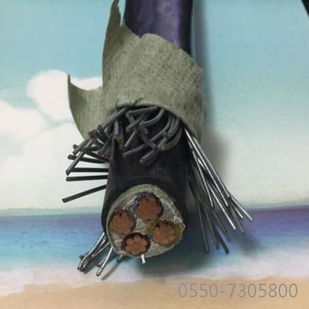 �����������ǲ���Z6���й�������ҳ����