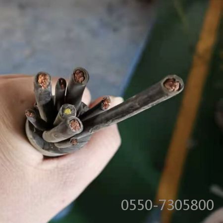 �����������ǲ���Z6���й�������ҳ����