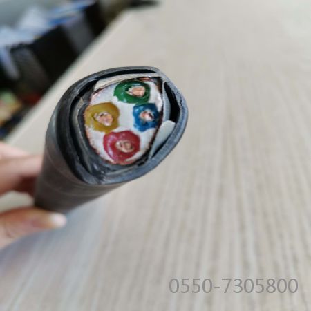 �����������ǲ���Z6���й�������ҳ����