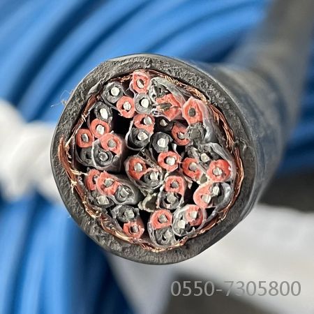 �����������ǲ���Z6���й�������ҳ����