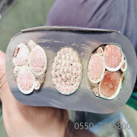 尊龙人生就是博·Z6「中国区」首页官网