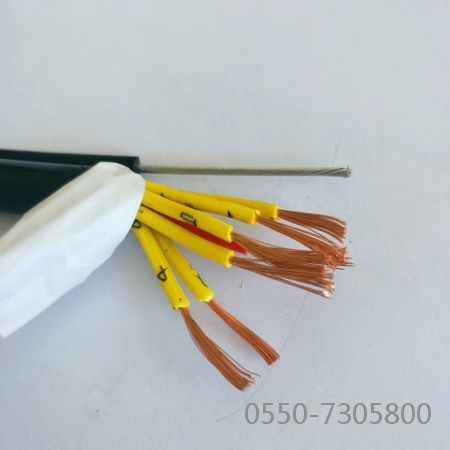 尊龙人生就是博·Z6「中国区」首页官网