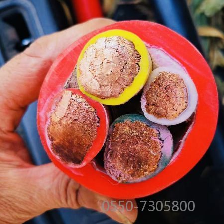 �����������ǲ���Z6���й�������ҳ����