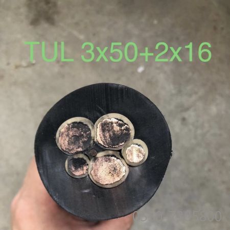 �����������ǲ���Z6���й�������ҳ����