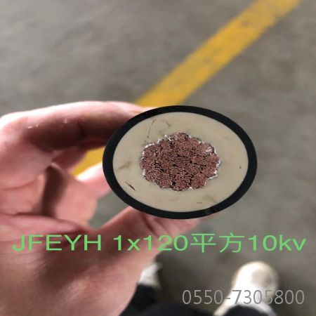 �����������ǲ���Z6���й�������ҳ����