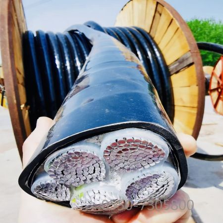 �����������ǲ���Z6���й�������ҳ����