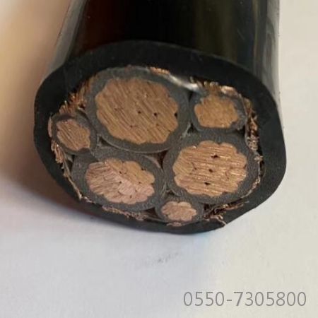 �����������ǲ���Z6���й�������ҳ����