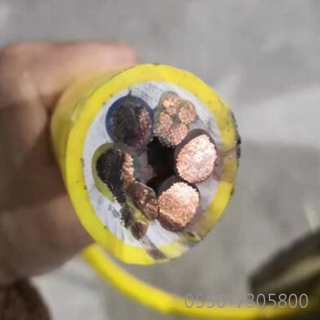 �����������ǲ���Z6���й�������ҳ����