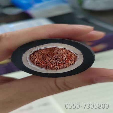 �����������ǲ���Z6���й�������ҳ����