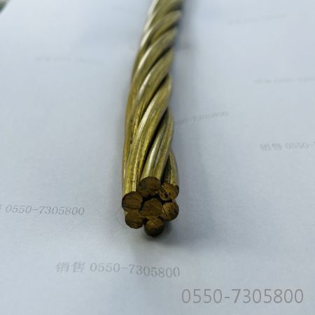 �����������ǲ���Z6���й�������ҳ����