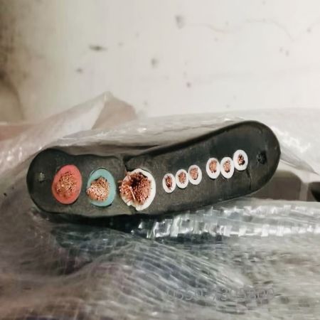 尊龙人生就是博·Z6「中国区」首页官网