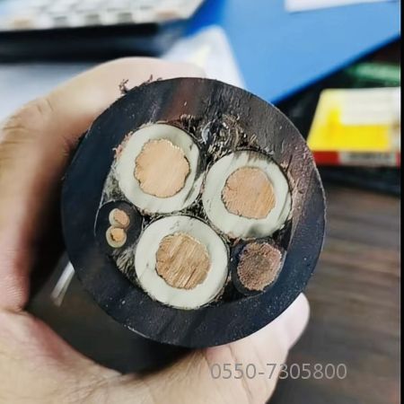 �����������ǲ���Z6���й�������ҳ����