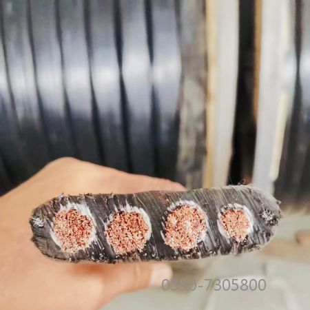 尊龙人生就是博·Z6「中国区」首页官网