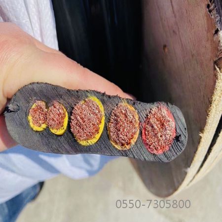 尊龙人生就是博·Z6「中国区」首页官网