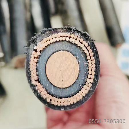 �����������ǲ���Z6���й�������ҳ����